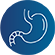 Gastroenterologia